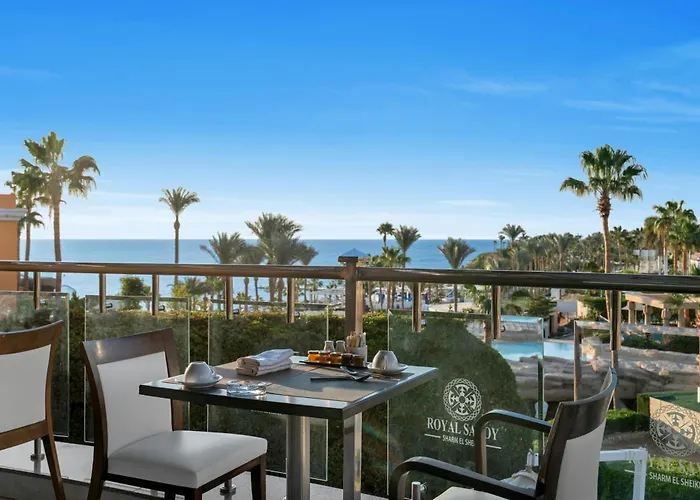 Royal Savoy Sheikh (adults Only)