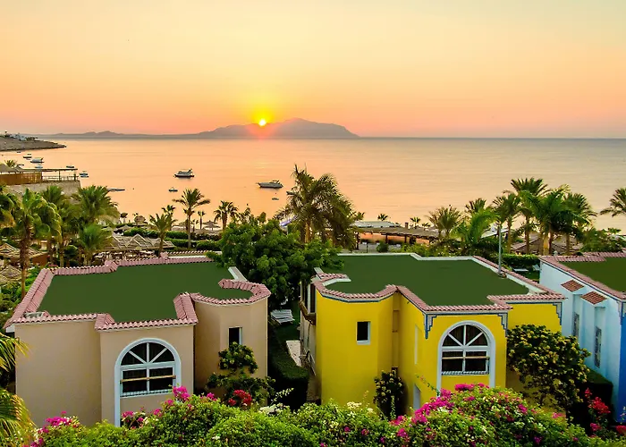 Royal Savoy Sheikh (adults Only) Sharm el-Sheikh