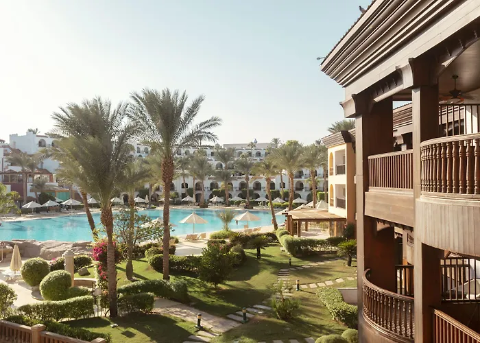 Royal Savoy Sheikh (adults Only) *
